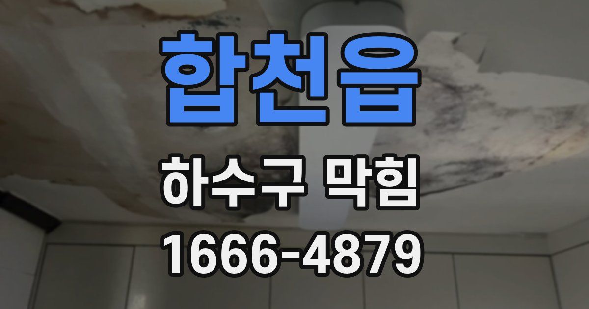 합천읍 하수구 막힘