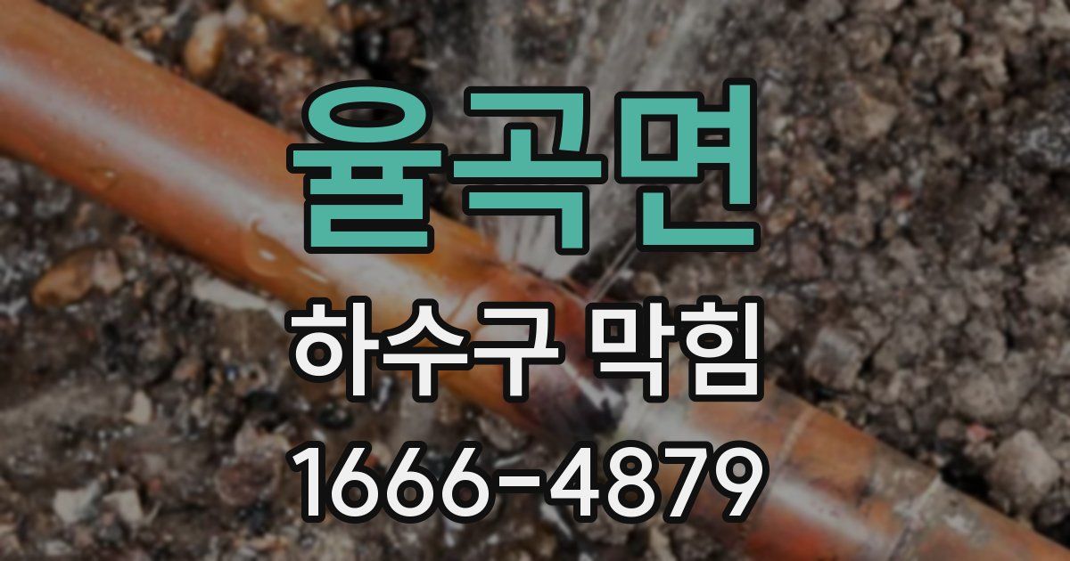 율곡면 하수구 막힘