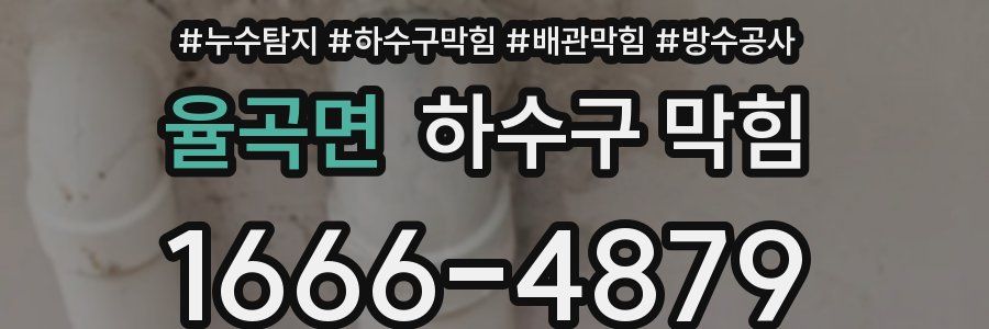율곡면 하수구 막힘