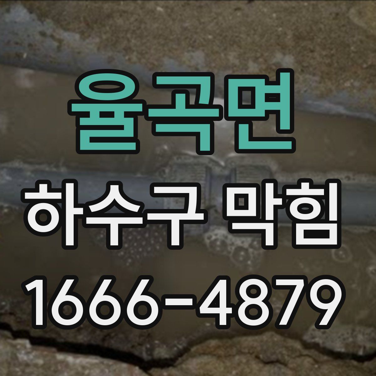 율곡면 하수구 막힘