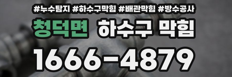 청덕면 하수구 막힘