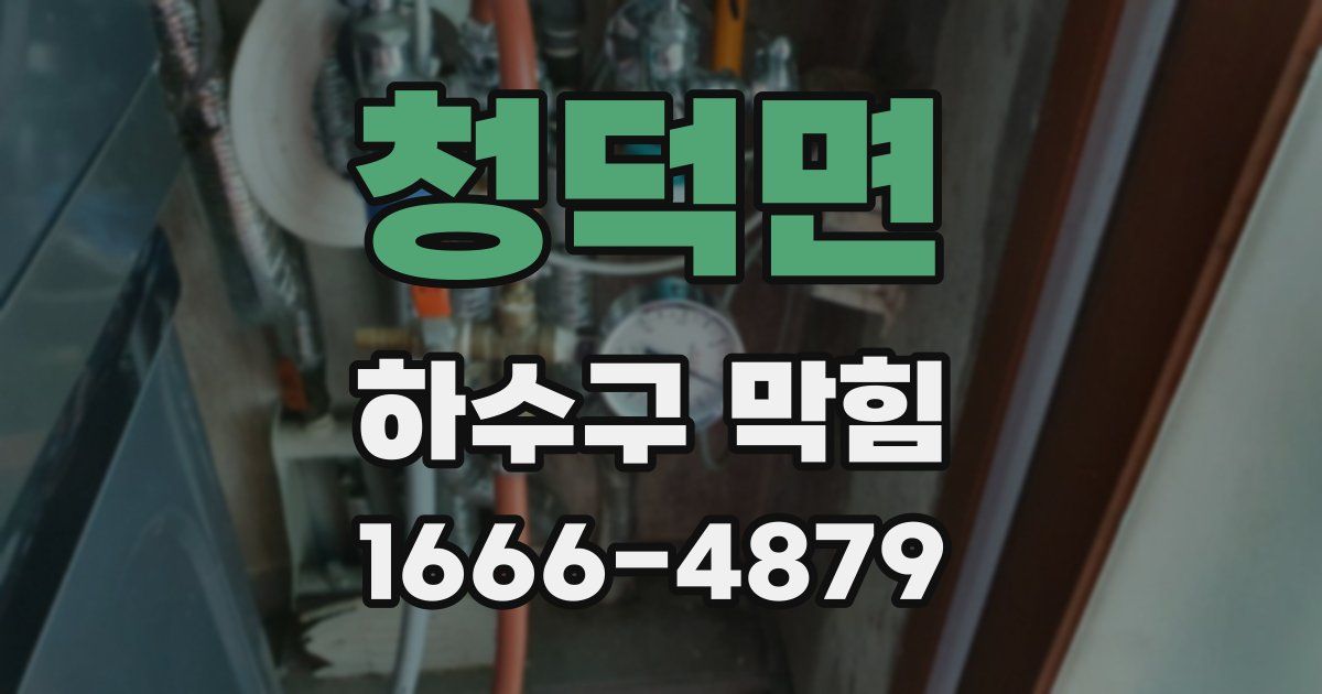 청덕면 하수구 막힘