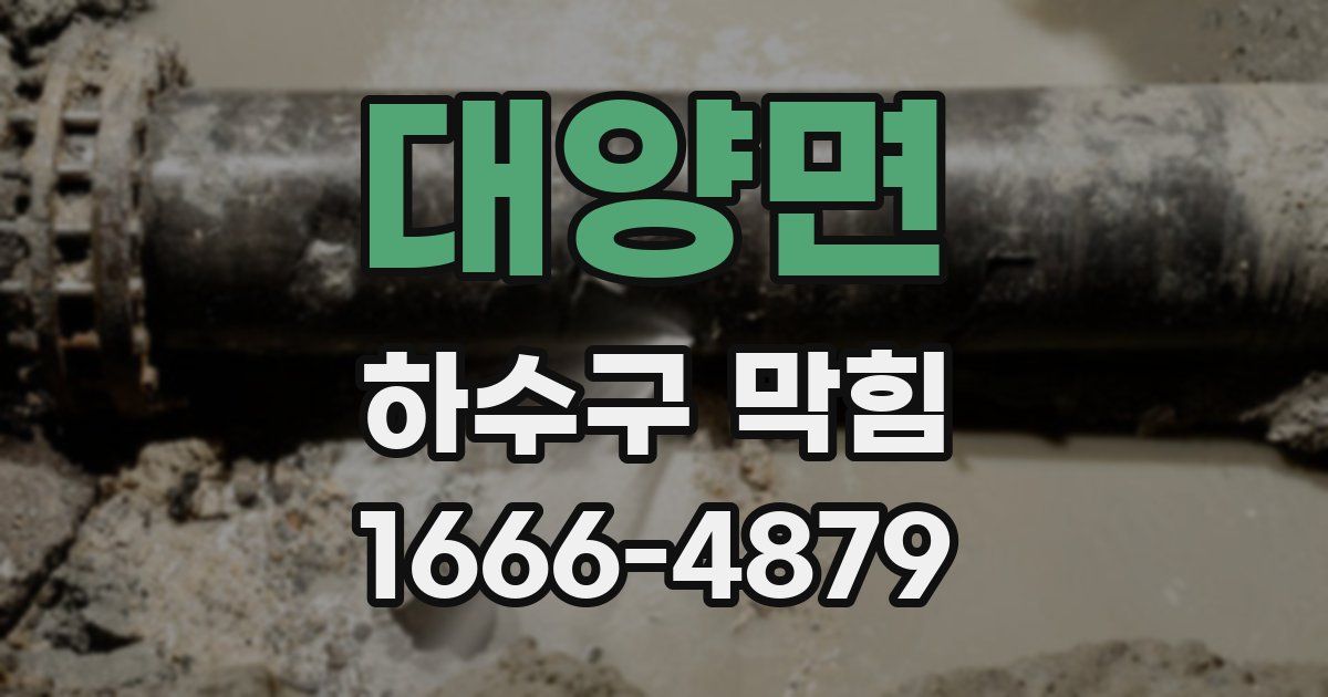 대양면 하수구 막힘