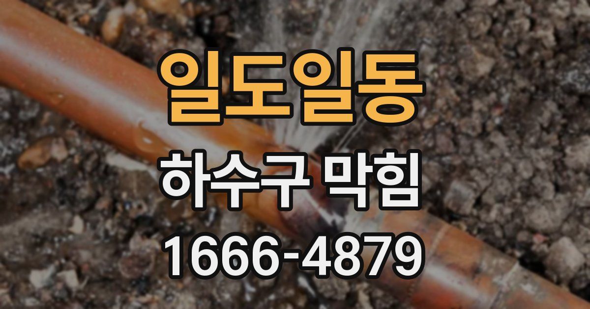 일도일동 하수구 막힘