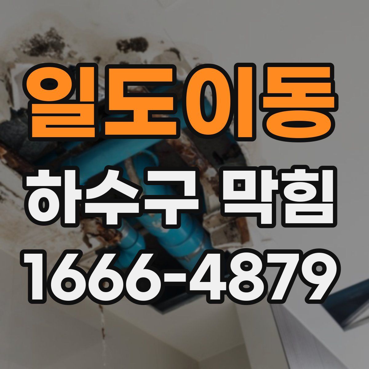 일도이동 하수구 막힘