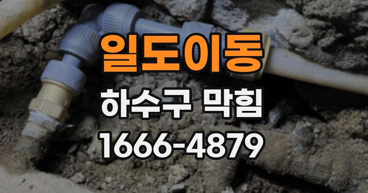 일도이동 하수구 막힘