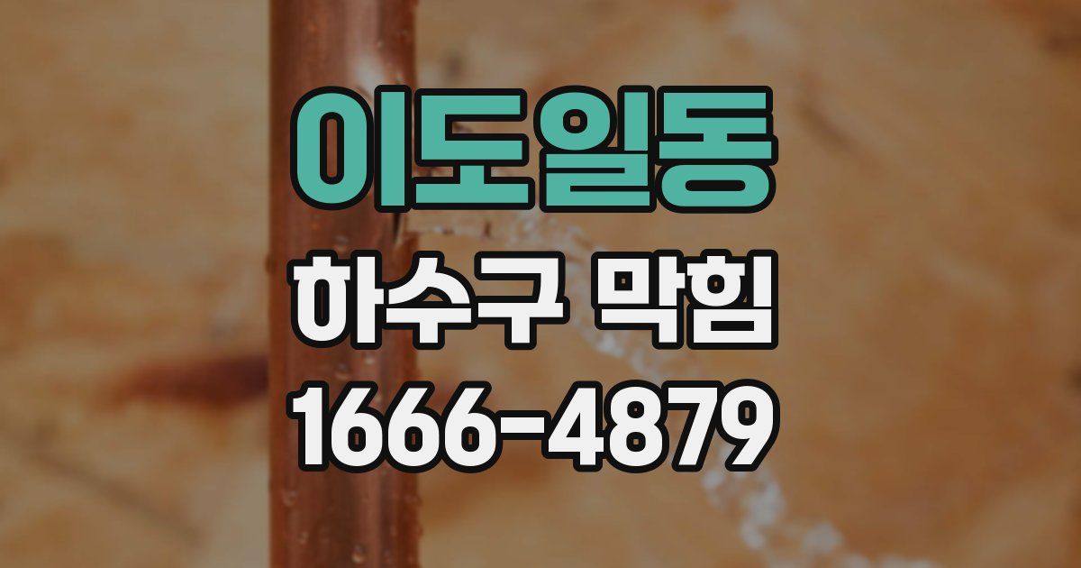 이도일동 하수구 막힘