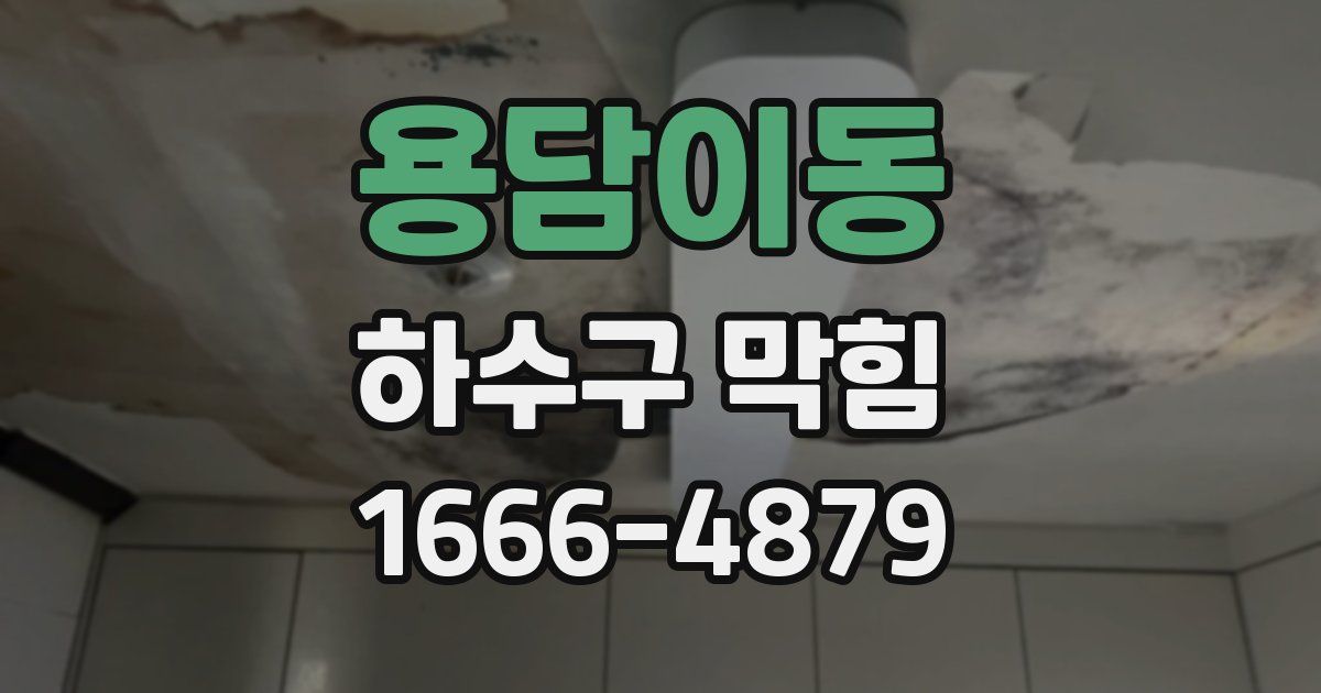 용담이동 하수구 막힘