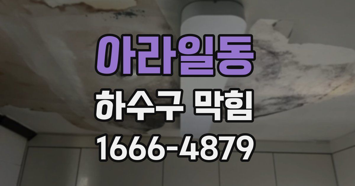 아라일동 하수구 막힘