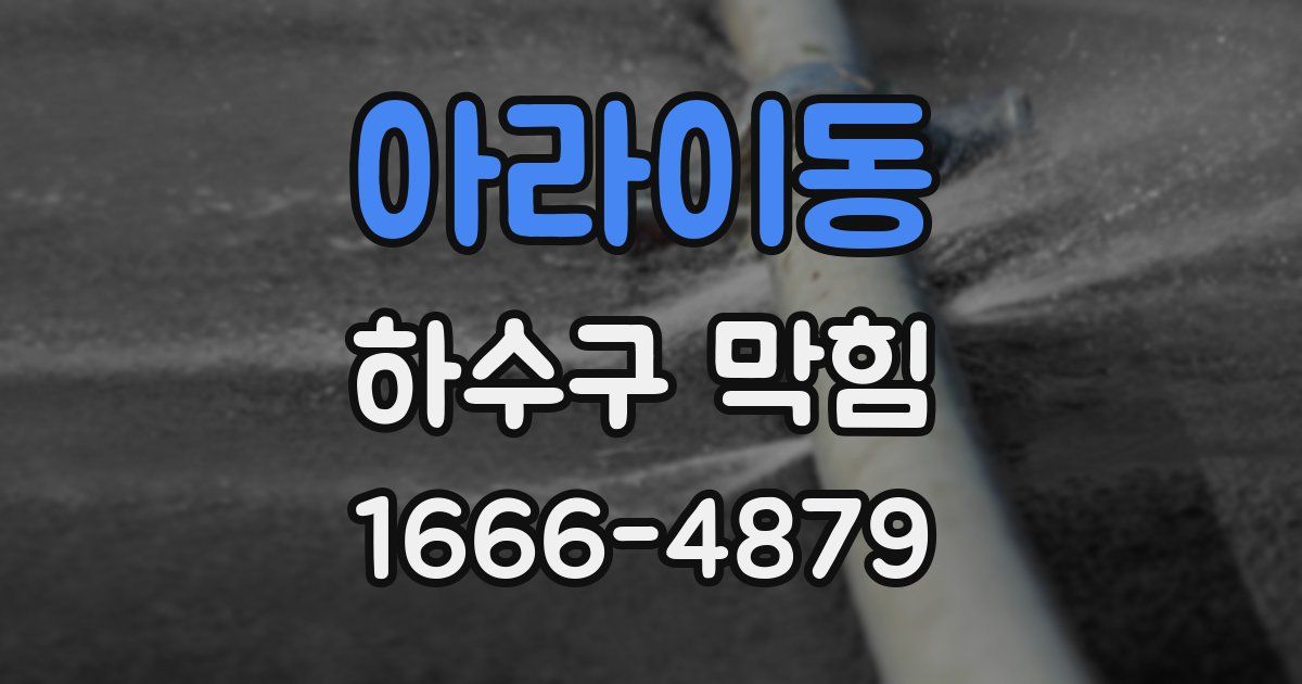 아라이동 하수구 막힘