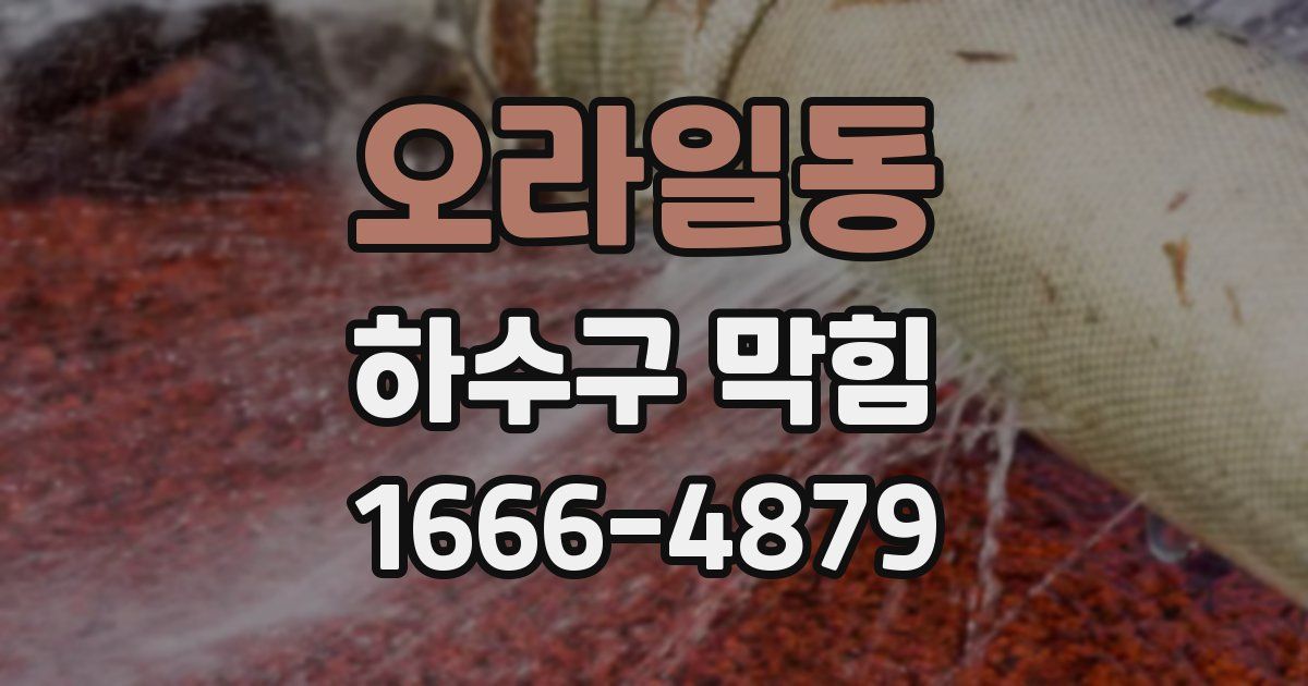 오라일동 하수구 막힘