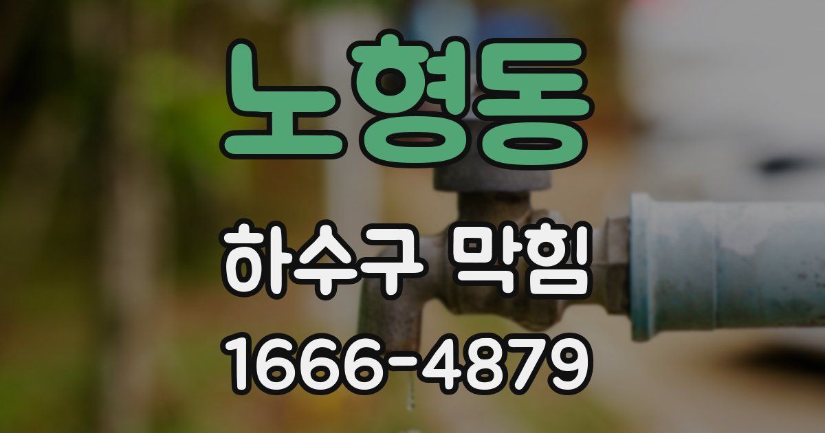 노형동 하수구 막힘