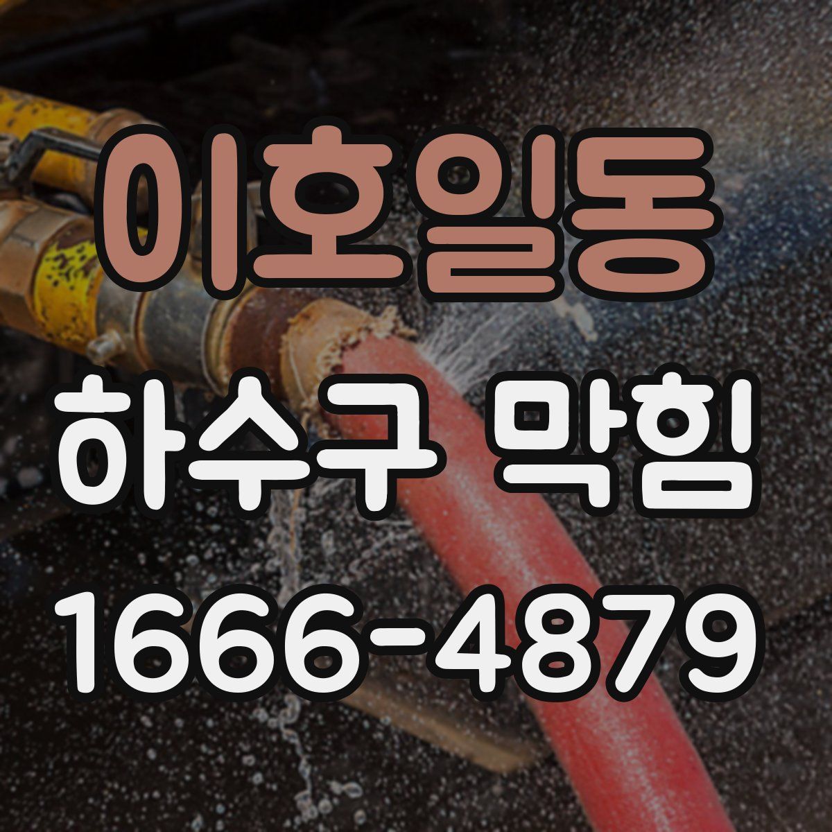 이호일동 하수구 막힘
