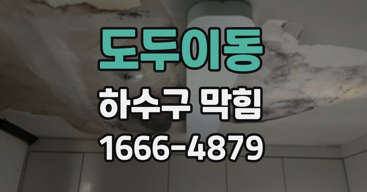 도두이동 하수구 막힘