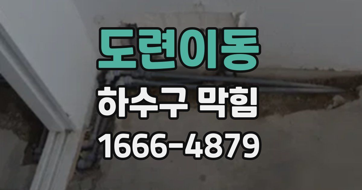 도련이동 하수구 막힘