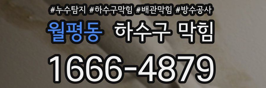 월평동 하수구 막힘