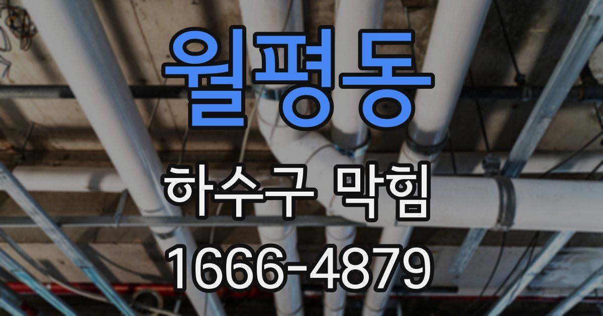 월평동 하수구 막힘