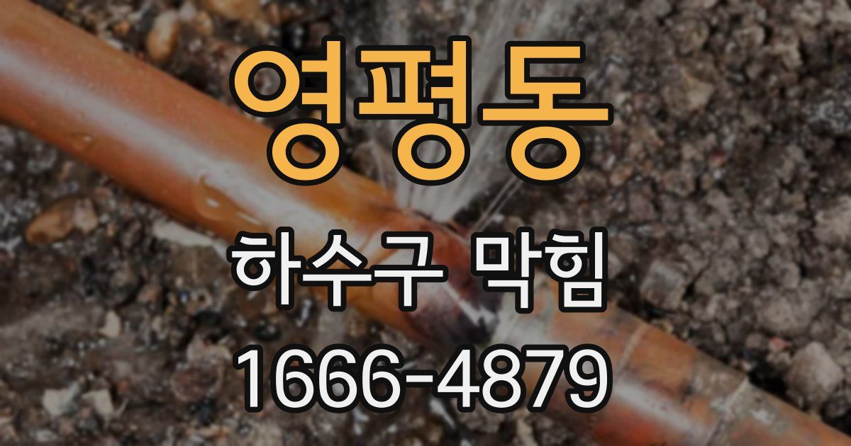 영평동 하수구 막힘