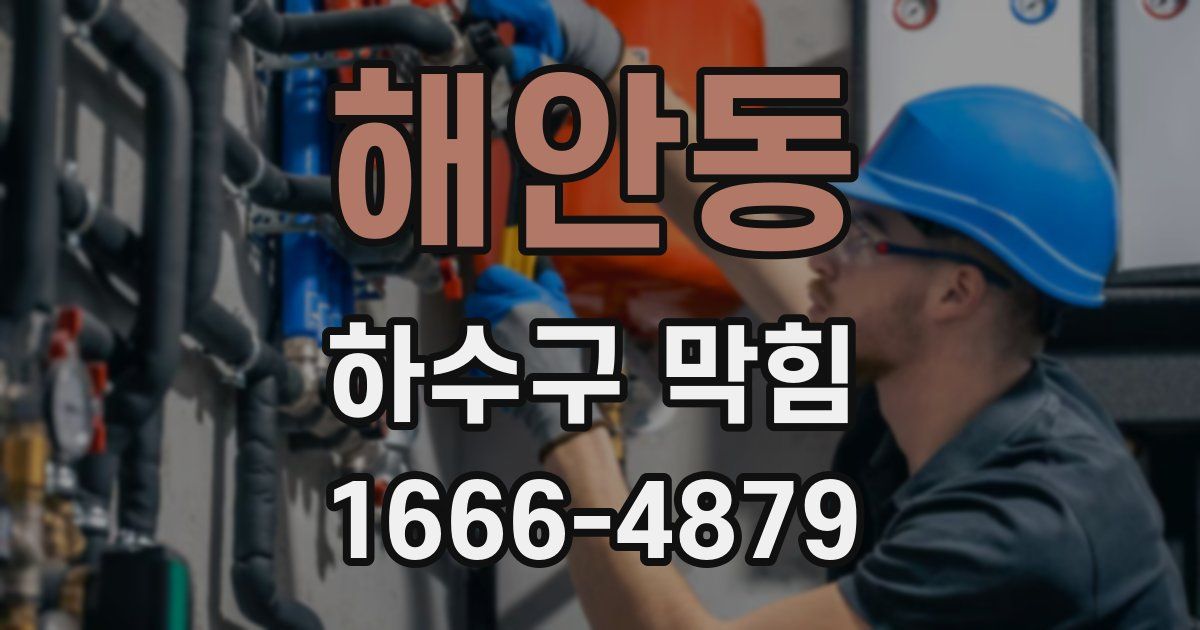 해안동 하수구 막힘