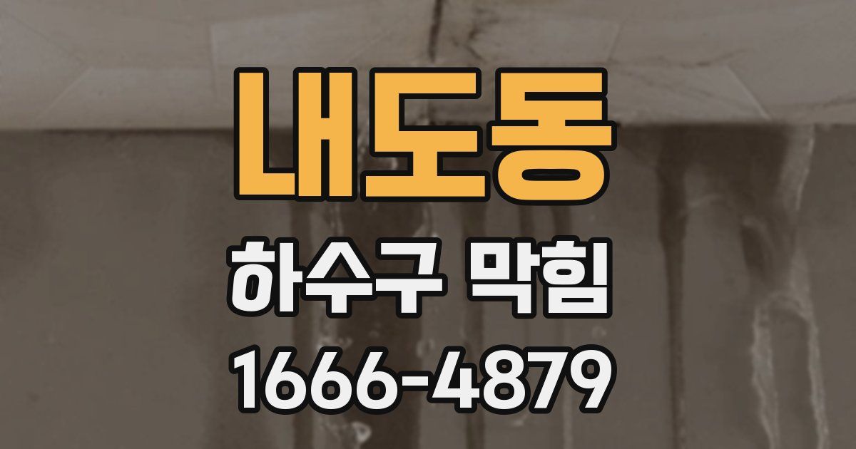 내도동 하수구 막힘