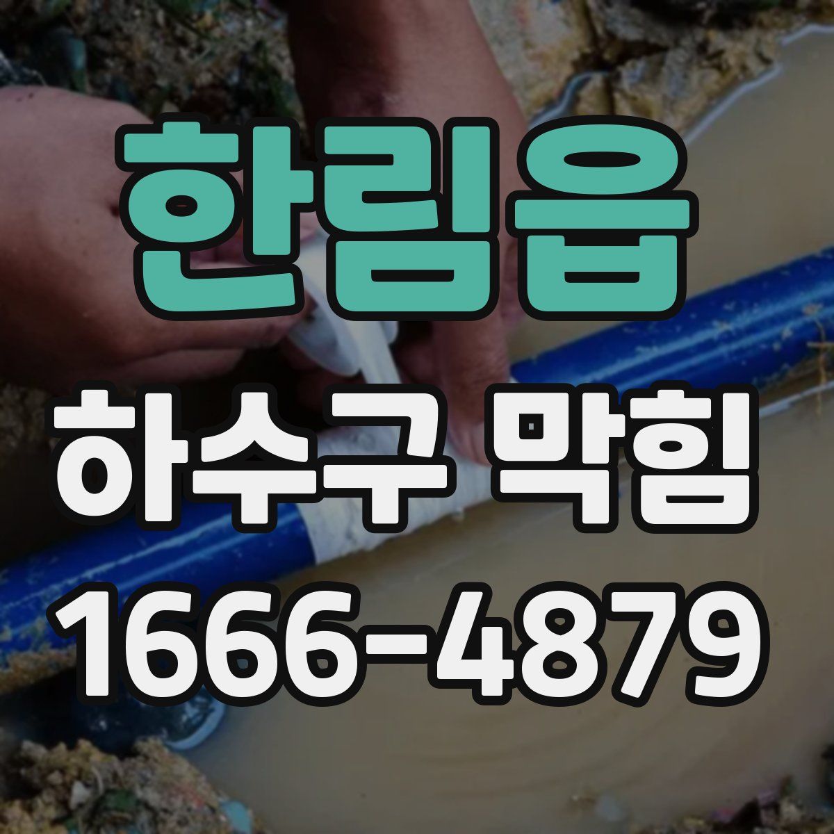 한림읍 하수구 막힘
