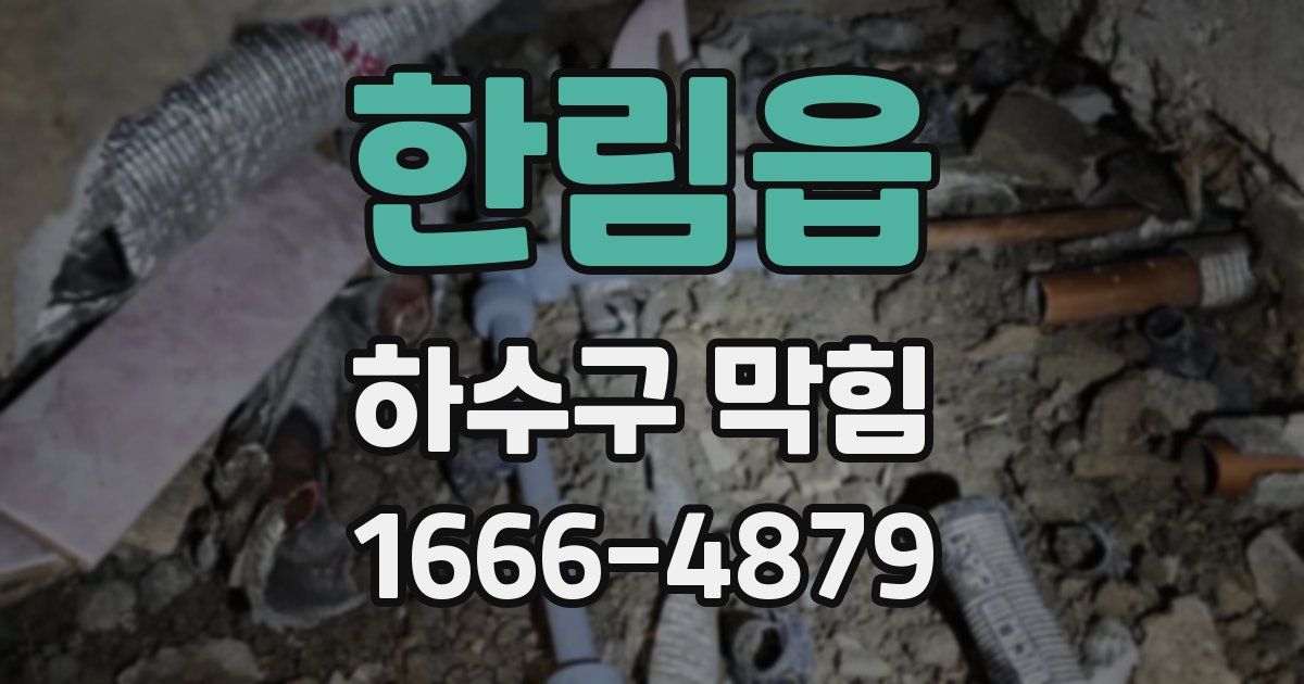한림읍 하수구 막힘