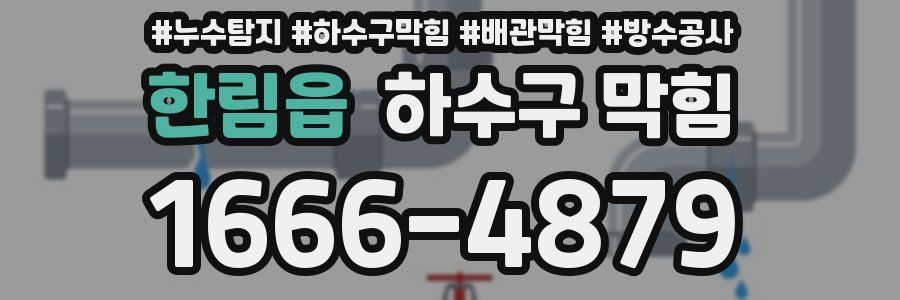 한림읍 하수구 막힘