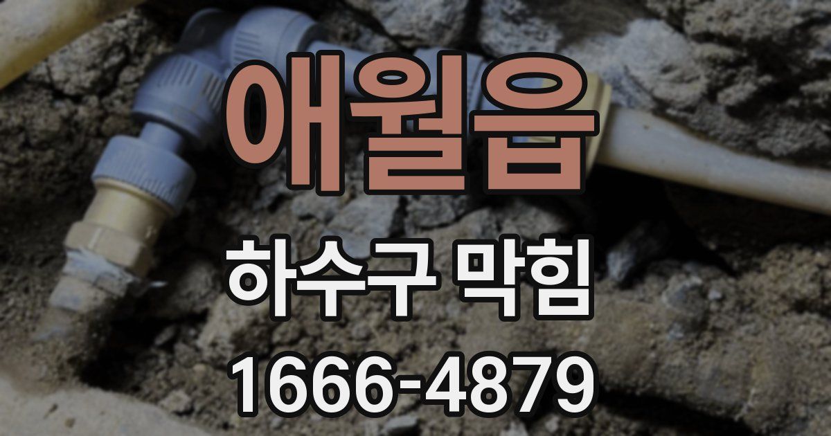 애월읍 하수구 막힘
