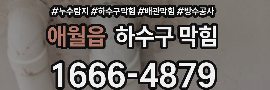애월읍 하수구 막힘