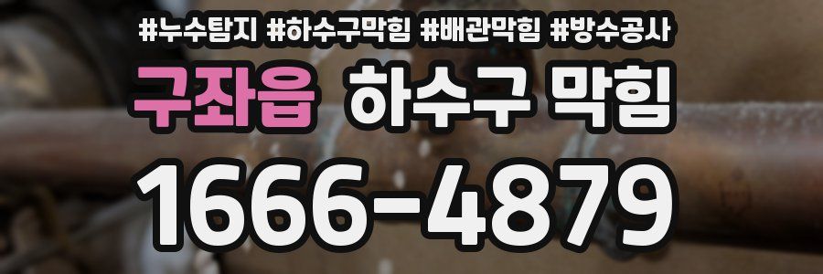 구좌읍 하수구 막힘