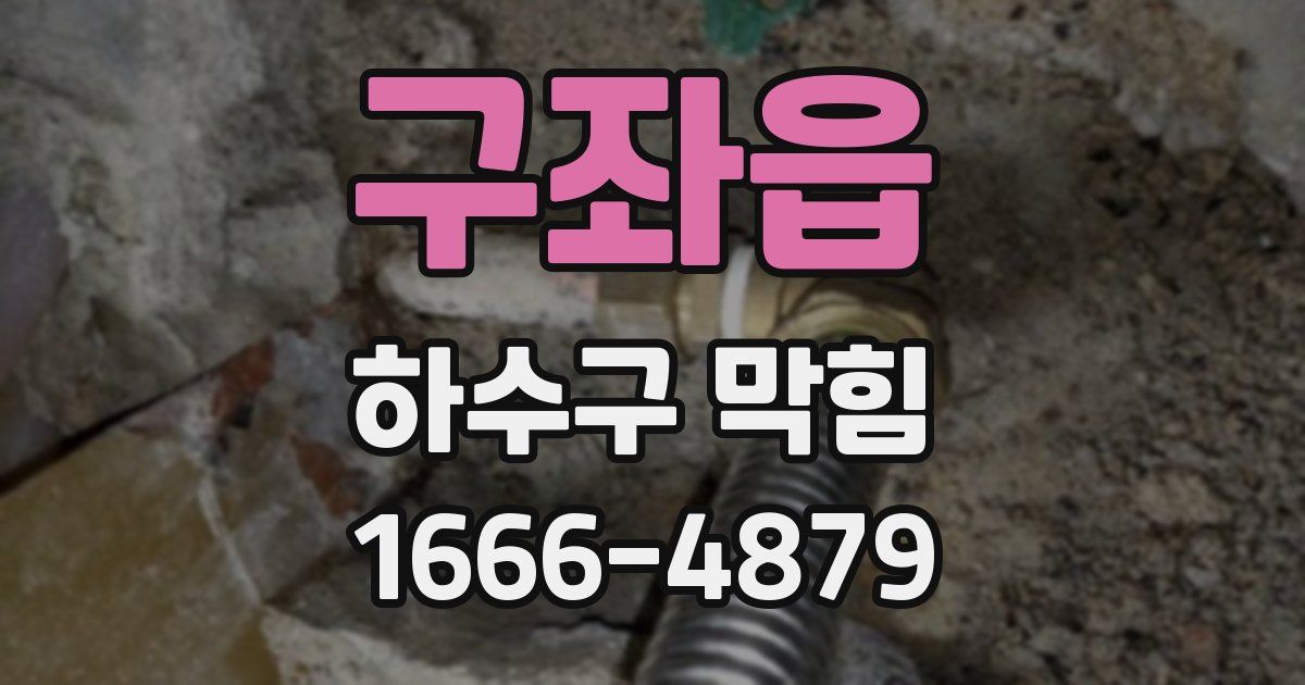 구좌읍 하수구 막힘