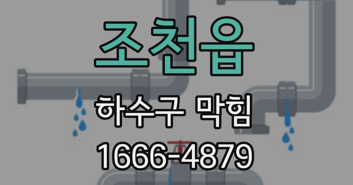 조천읍 하수구 막힘