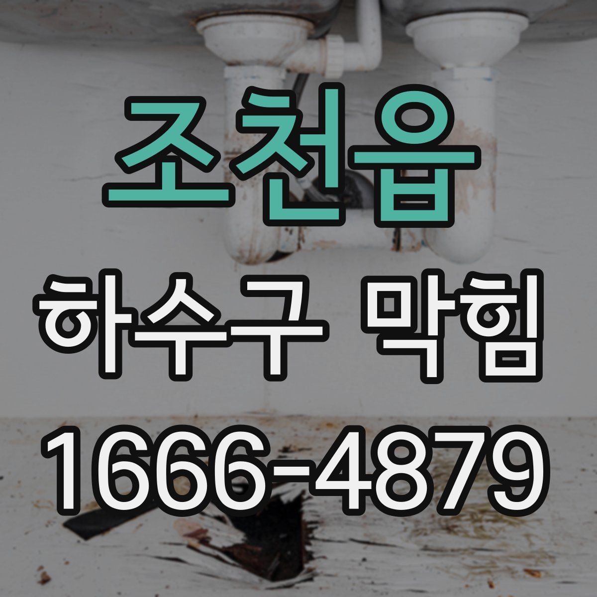 조천읍 하수구 막힘
