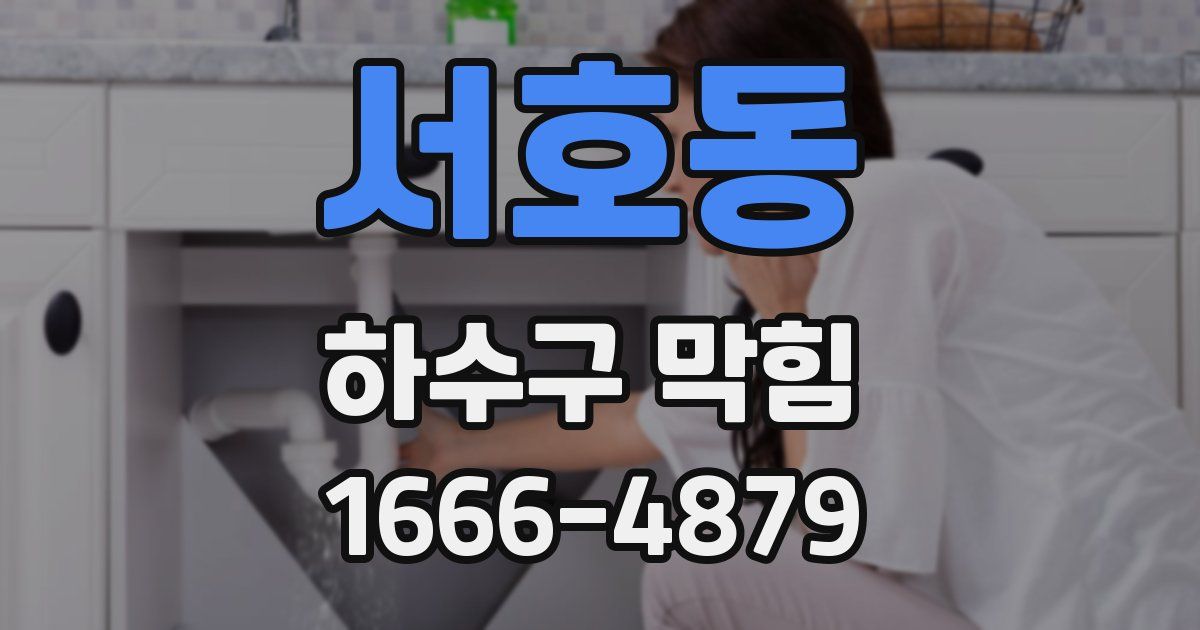 서호동 하수구 막힘