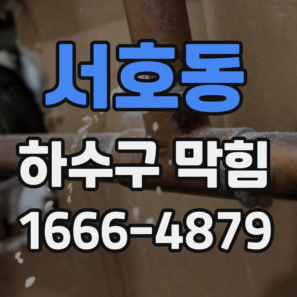 서호동 하수구 막힘