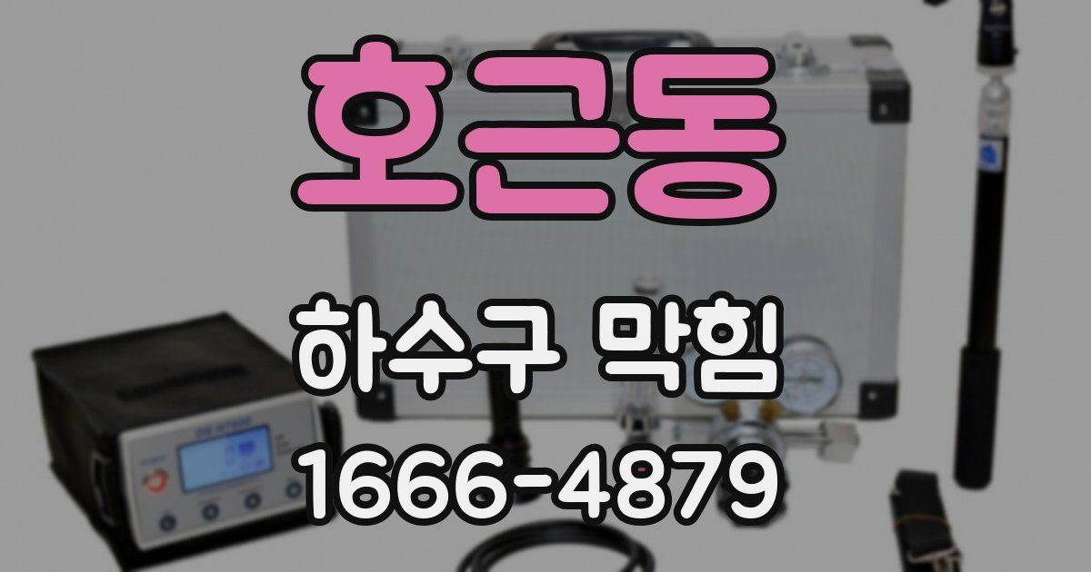 호근동 하수구 막힘