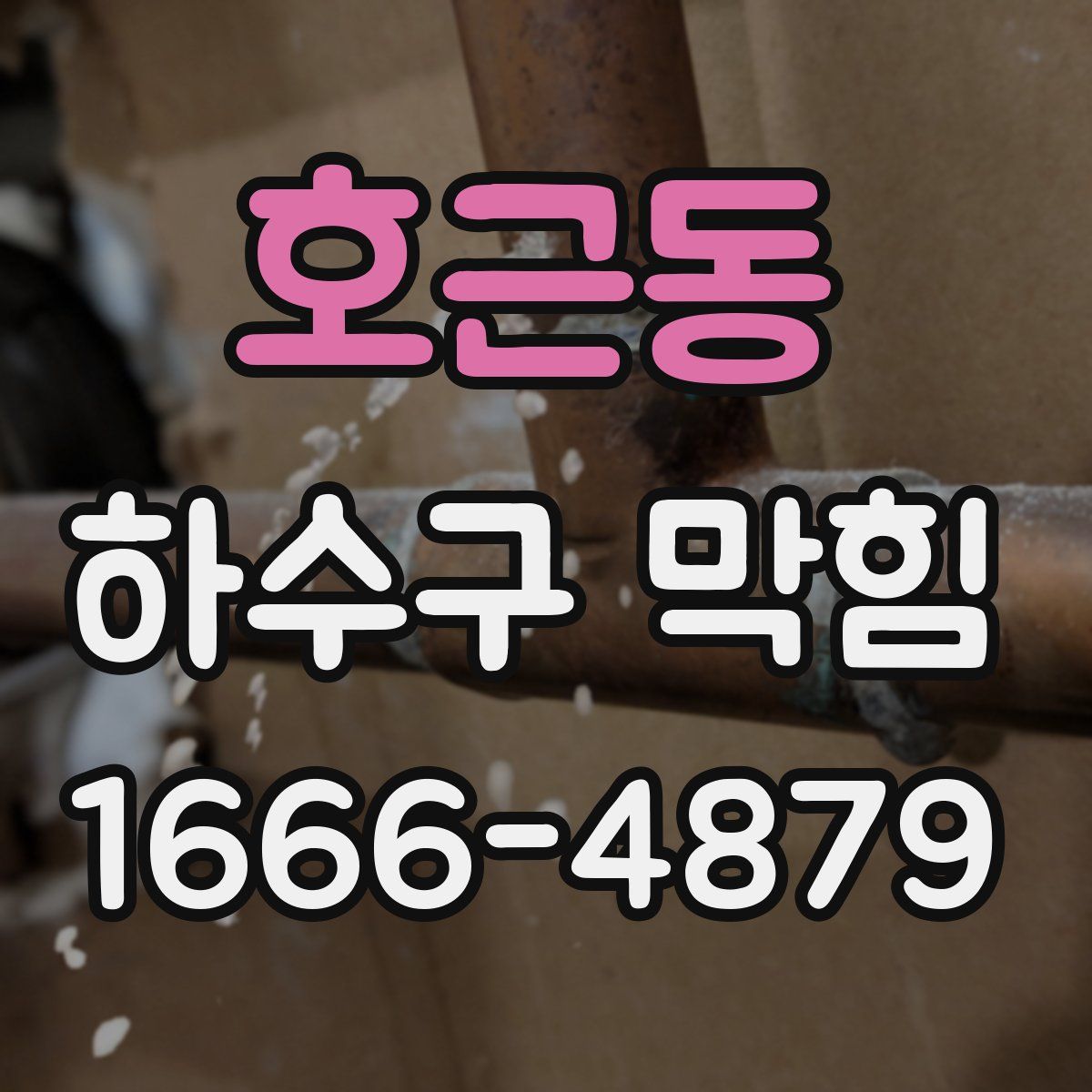호근동 하수구 막힘