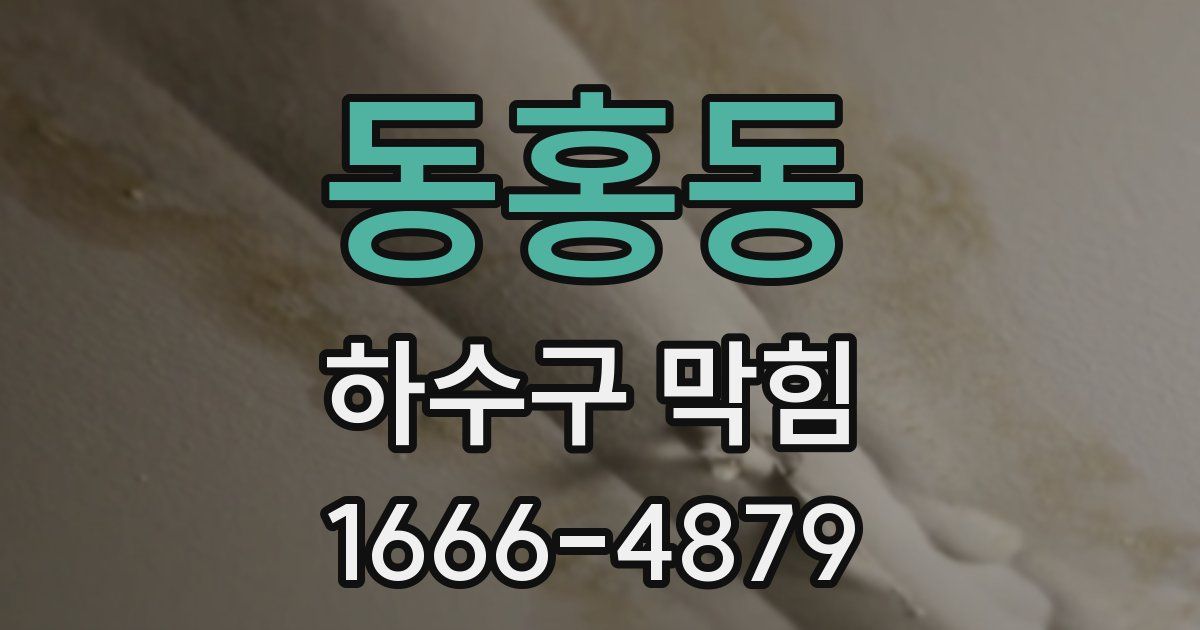 동홍동 하수구 막힘