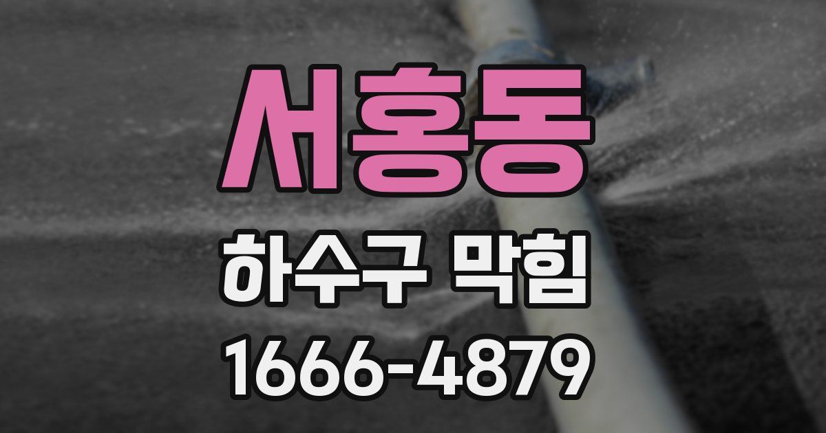 서홍동 하수구 막힘