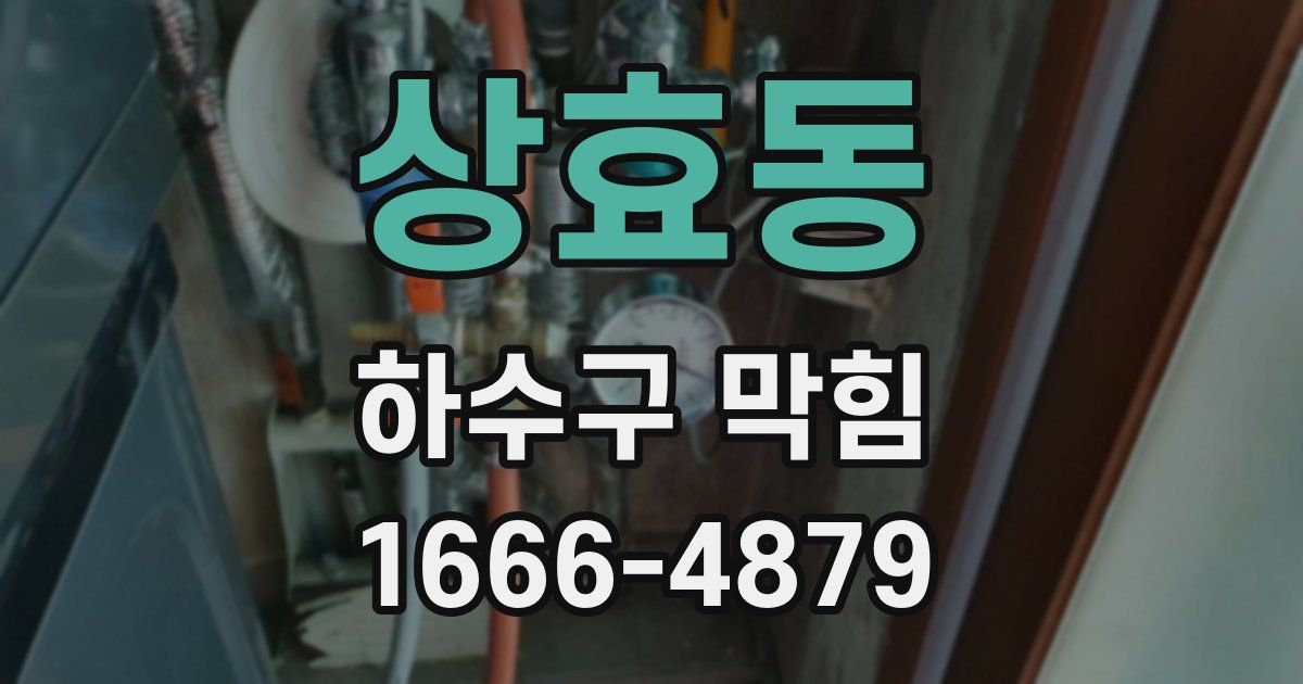 상효동 하수구 막힘