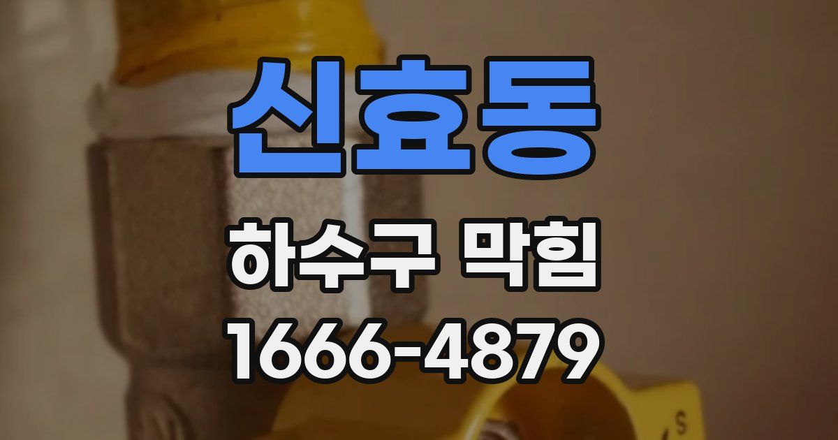 신효동 하수구 막힘