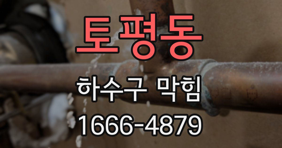 토평동 하수구 막힘