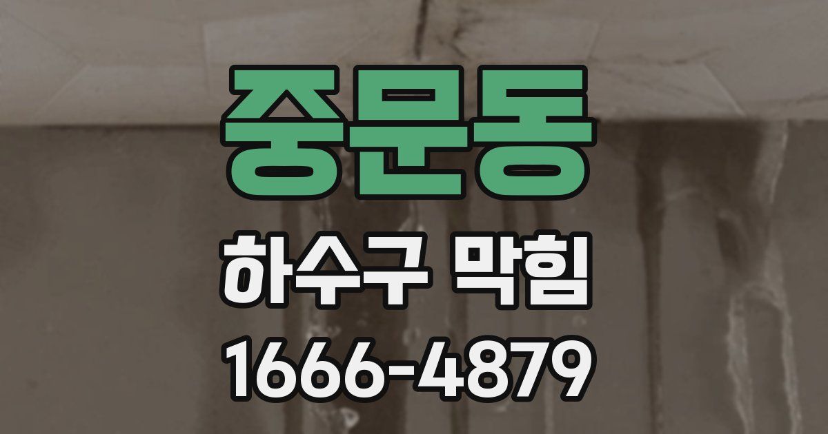 중문동 하수구 막힘