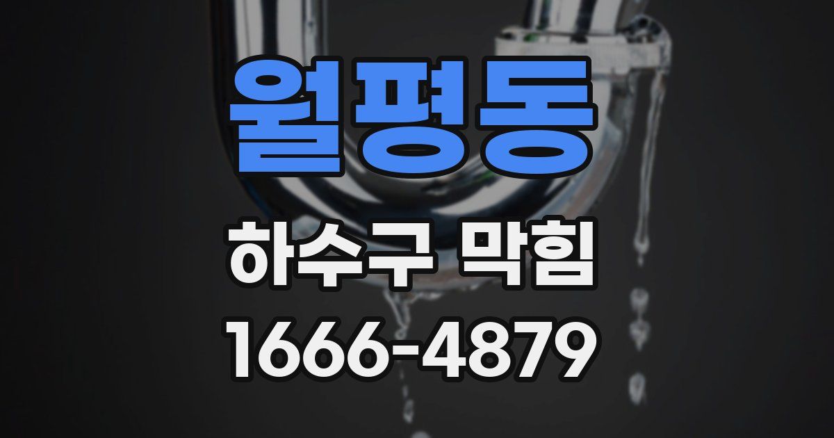 월평동 하수구 막힘