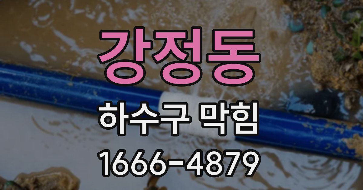 강정동 하수구 막힘