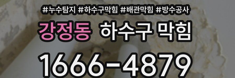 강정동 하수구 막힘