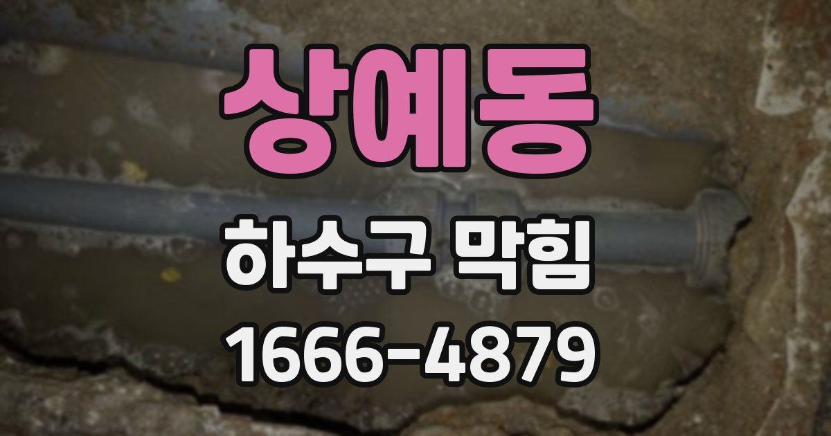 상예동 하수구 막힘