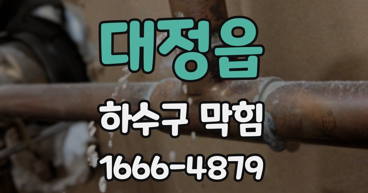 대정읍 하수구 막힘