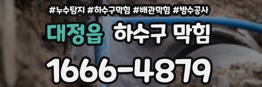 대정읍 하수구 막힘