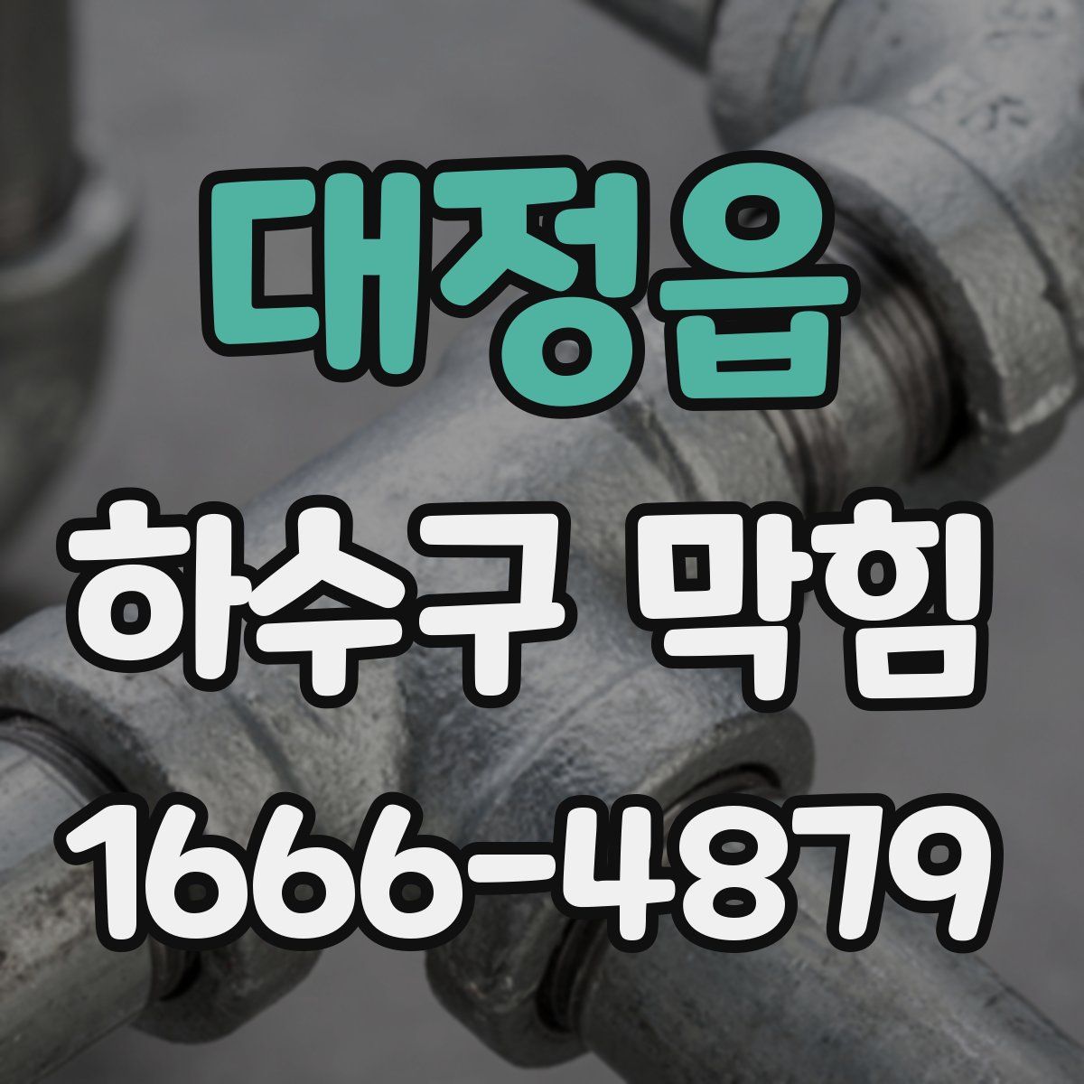 대정읍 하수구 막힘